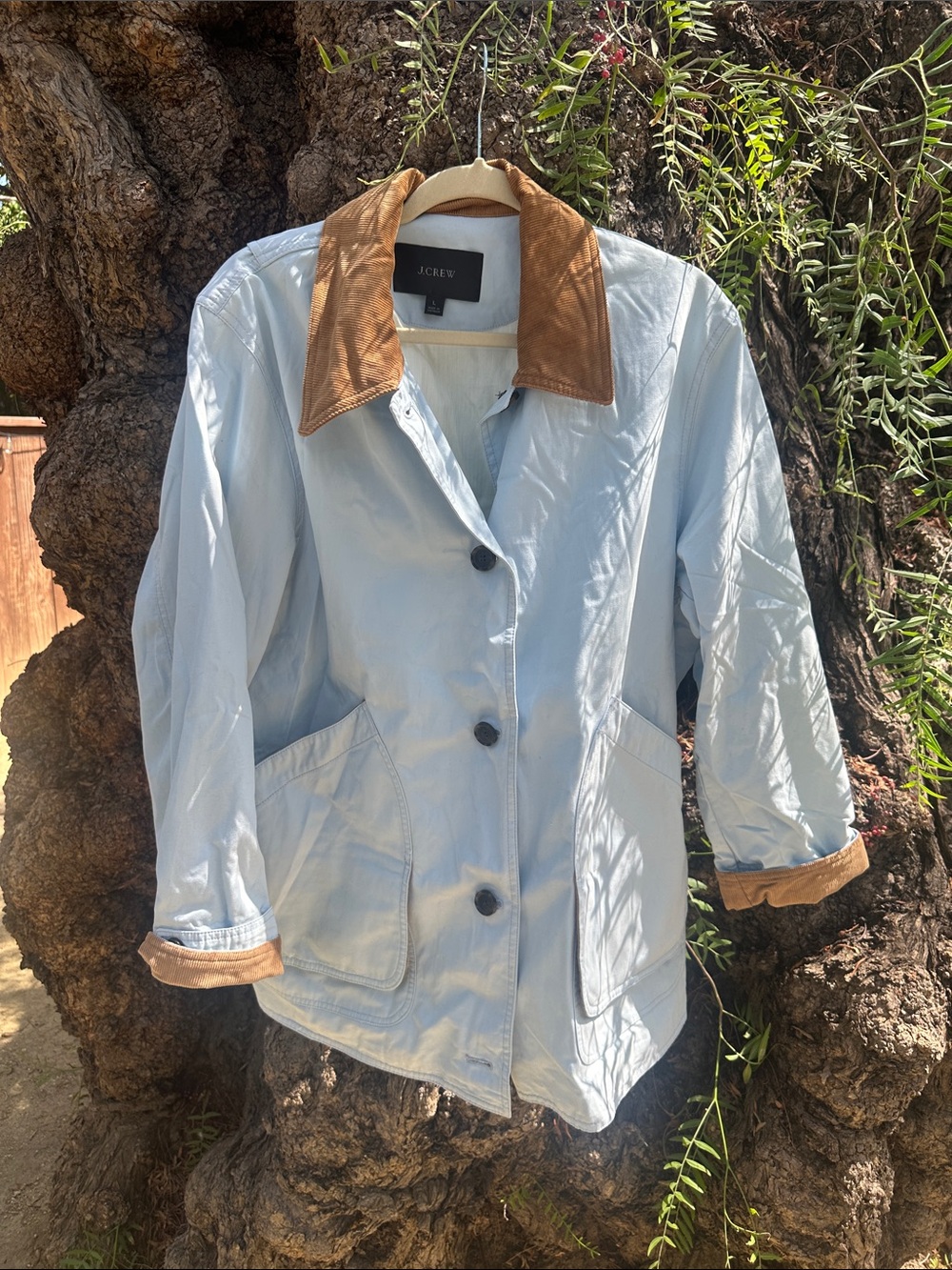J. Crew Pale Blue Trench Coat with Tan Collar